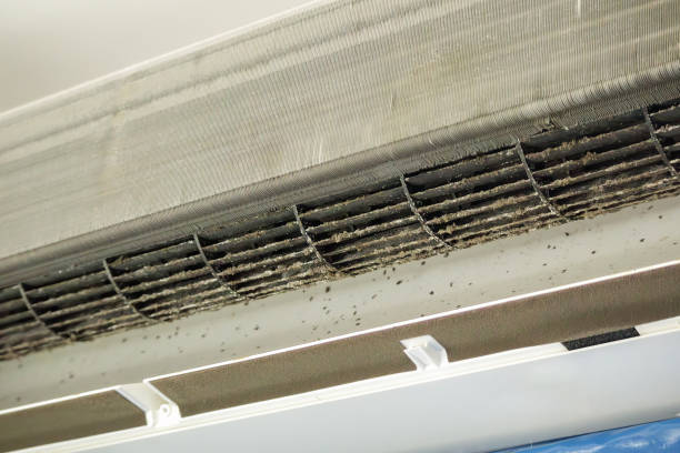 Best Professional Duct Cleaning Services  in Eldorado, TX